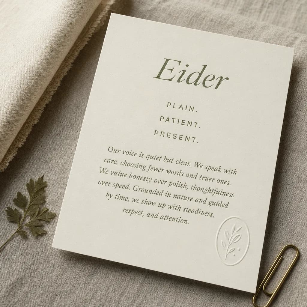 Brand: brand sustainable fashion card